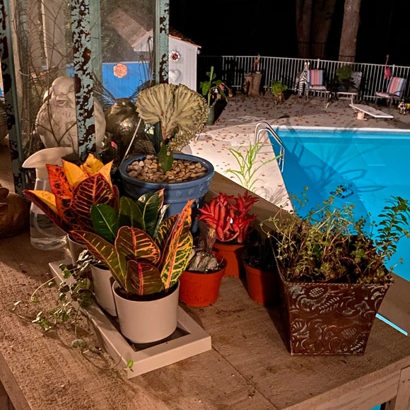 Please feel free to say hello❤️👍😊🌹🌹🌹🌹 - Picture 12 of 16